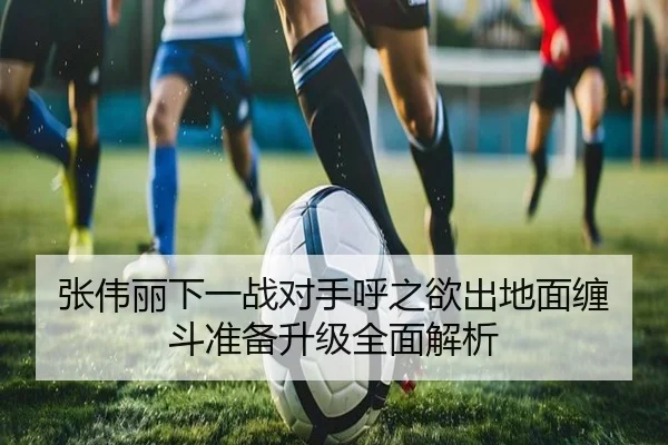 张伟丽下一战对手呼之欲出地面缠斗准备升级全面解析 - mksports